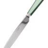 Sabre Natura Tafelmes 24 Cm Rvs Kunststof Groen